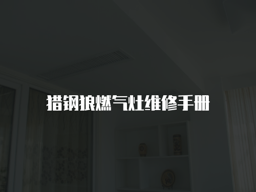 獵鋼狼燃氣灶維修手冊