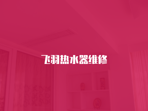 飛羽熱水器維修