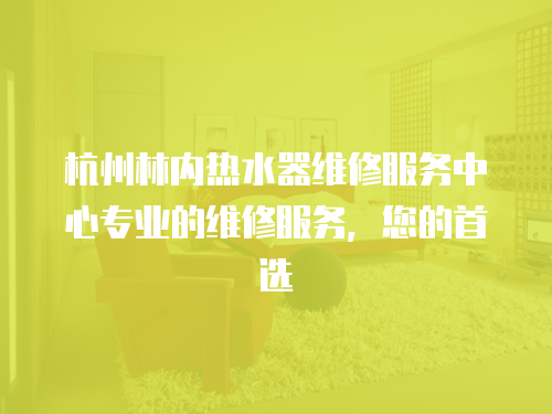 杭州林內熱水器維修服務中心專業的維修服務，您的首選