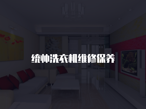 統帥洗衣機維修保養