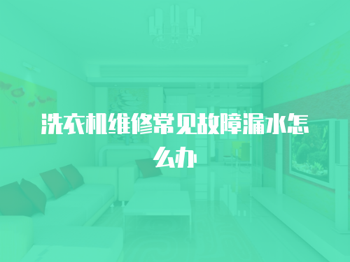 洗衣機(jī)維修常見故障漏水怎么辦