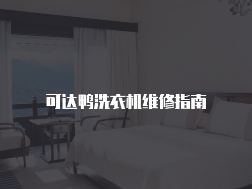 可達(dá)鴨洗衣機(jī)維修指南