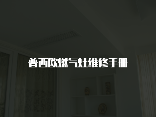 普西歐燃氣灶維修手冊