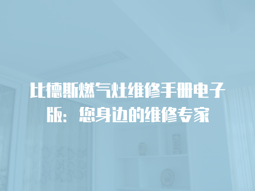 比德斯燃氣灶維修手冊電子版：您身邊的維修專家
