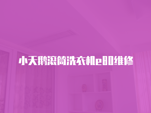 小天鵝滾筒洗衣機e80維修