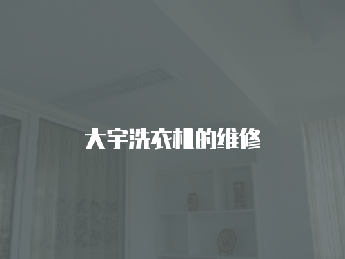 大宇洗衣機(jī)的維修