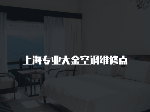 上海專業大金空調維修點