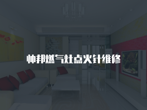 帥邦燃氣灶點火針維修