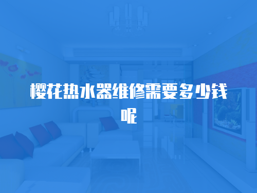 櫻花熱水器維修需要多少錢呢