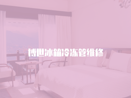 博世冰箱冷凍管維修