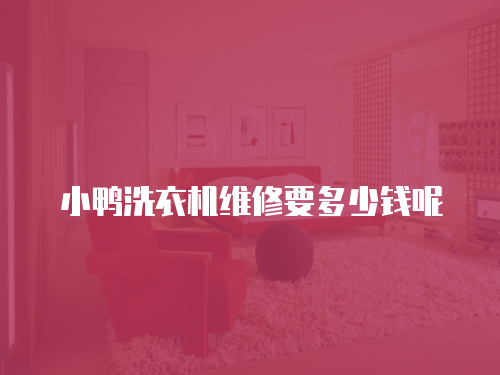小鴨洗衣機(jī)維修要多少錢呢