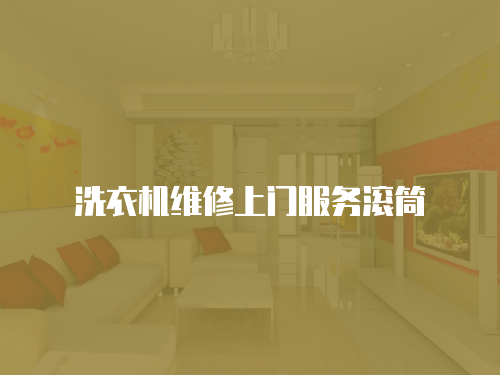 洗衣機(jī)維修上門服務(wù)滾筒