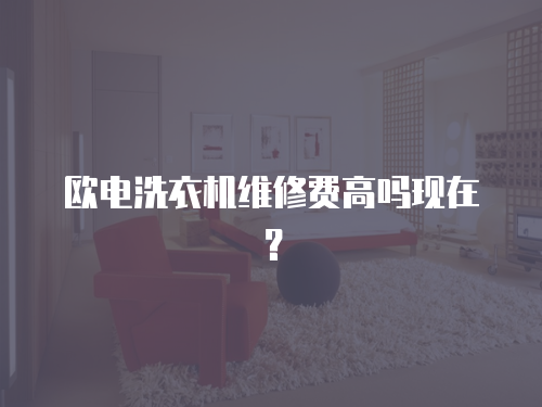 歐電洗衣機維修費高嗎現在？