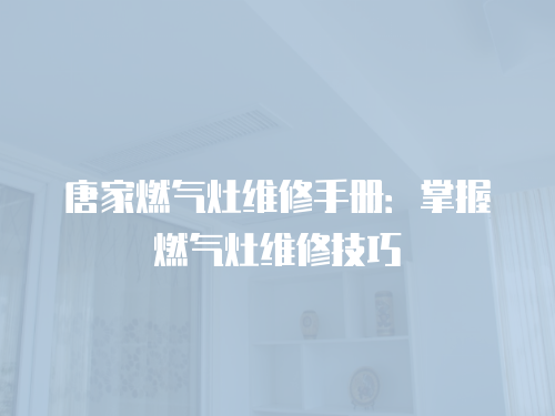 唐家燃?xì)庠罹S修手冊：掌握燃?xì)庠罹S修技巧