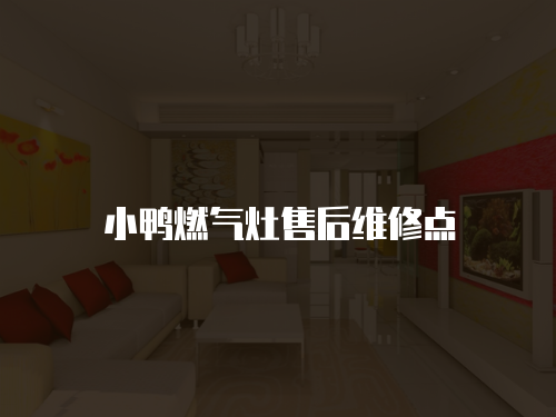 小鴨燃氣灶售后維修點