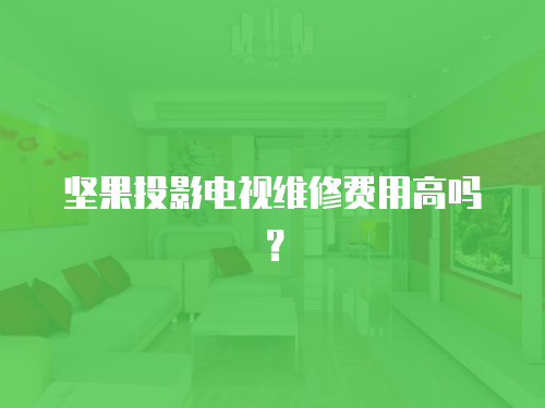堅果投影電視維修費用高嗎？