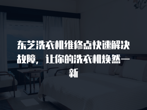 東芝洗衣機維修點快速解決故障，讓你的洗衣機煥然一新