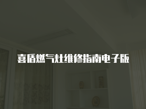 喜盾燃?xì)庠罹S修指南電子版