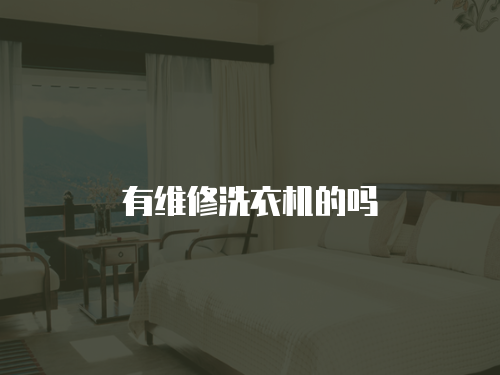 有維修洗衣機的嗎