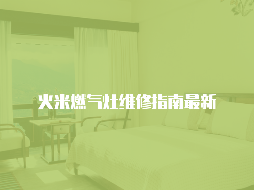 火米燃?xì)庠罹S修指南最新
