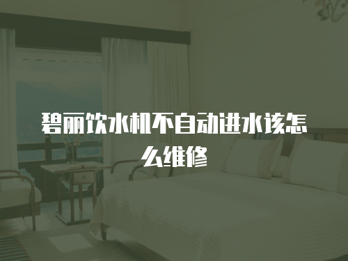 碧麗飲水機(jī)不自動(dòng)進(jìn)水該怎么維修