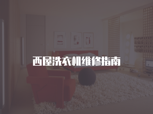 西屋洗衣機維修指南