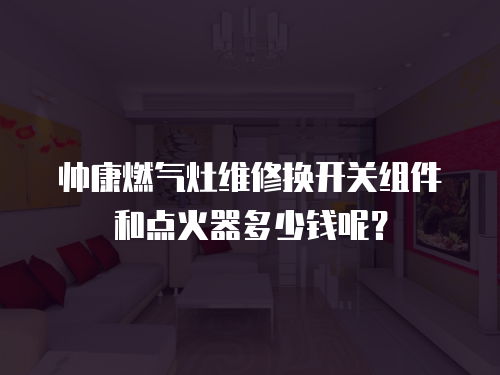 帥康燃氣灶維修換開關組件和點火器多少錢呢？