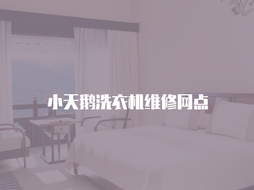 小天鵝洗衣機維修網點