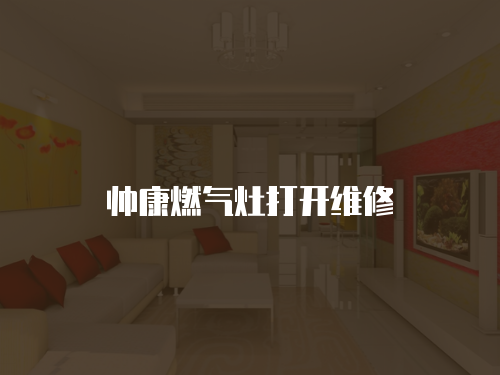帥康燃氣灶打開維修