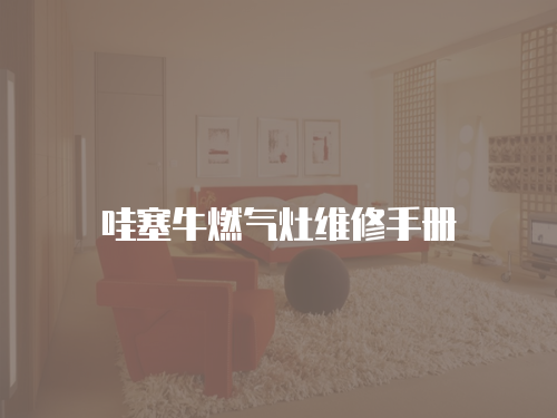 哇塞牛燃氣灶維修手冊