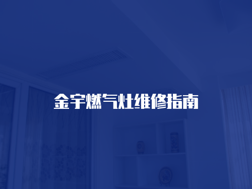 金宇燃?xì)庠罹S修指南