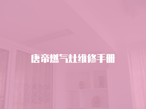 唐帝燃氣灶維修手冊