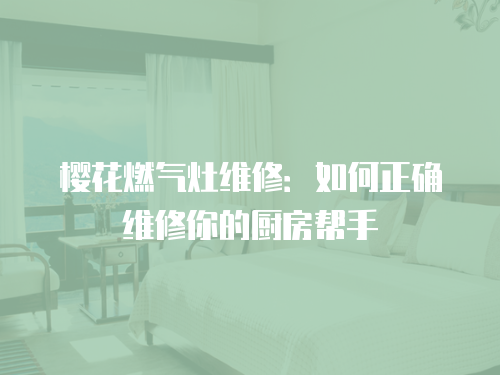 櫻花燃氣灶維修：如何正確維修你的廚房幫手