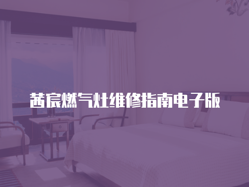 茜宸燃氣灶維修指南電子版