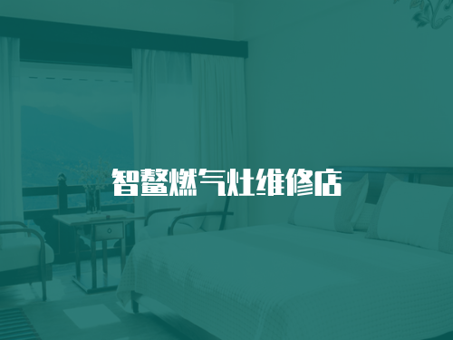 智鰲燃氣灶維修店