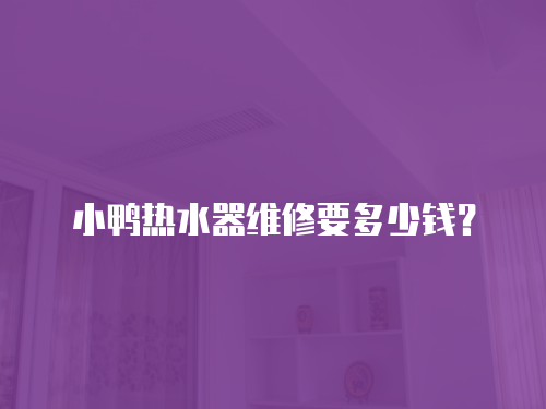 小鴨熱水器維修要多少錢？