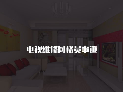 電視維修網(wǎng)格員事跡