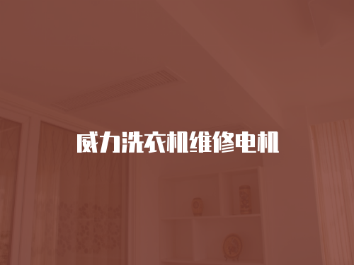 威力洗衣機維修電機