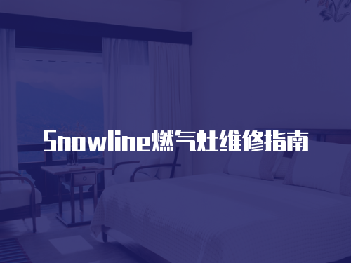 Snowline燃氣灶維修指南