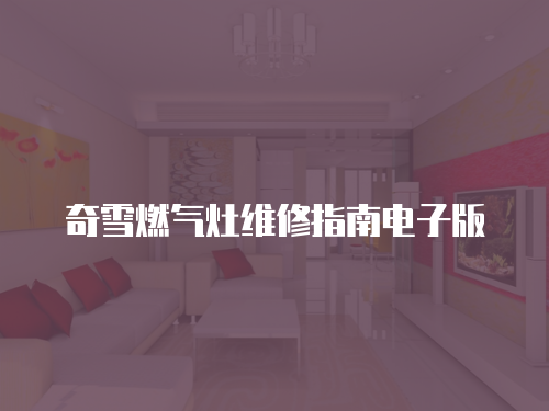奇雪燃?xì)庠罹S修指南電子版