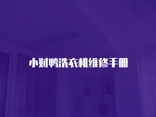 小財(cái)鴨洗衣機(jī)維修手冊(cè)