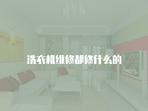 洗衣機維修都修什么的
