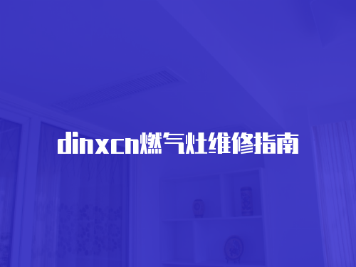 dinxcn燃氣灶維修指南