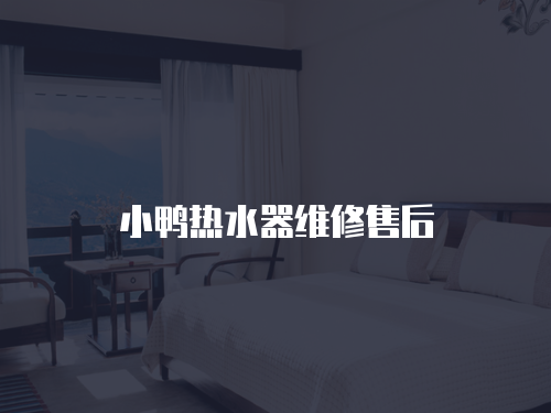 小鴨熱水器維修售后