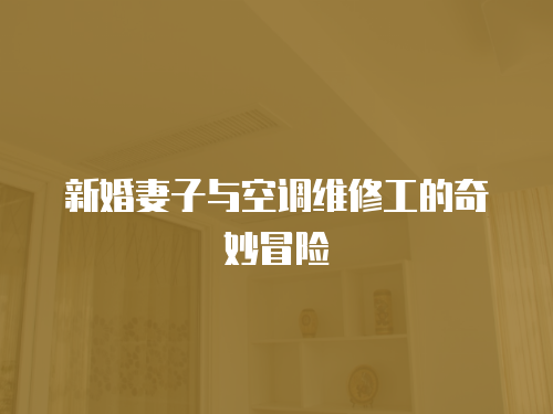新婚妻子與空調維修工的奇妙冒險