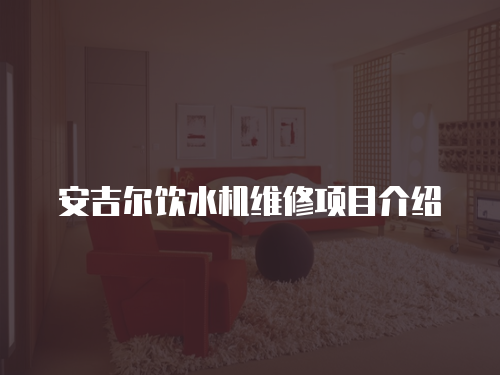 安吉爾飲水機維修項目介紹