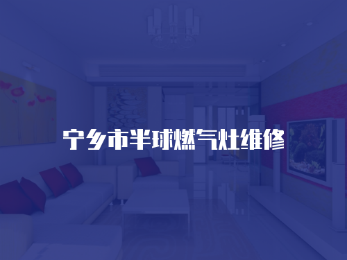 寧鄉市半球燃氣灶維修