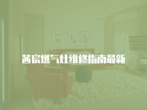 茜宸燃氣灶維修指南最新