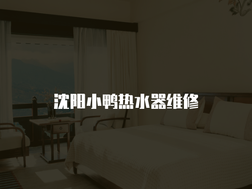 沈陽小鴨熱水器維修