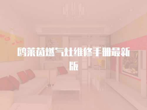 鷗萊茵燃氣灶維修手冊最新版